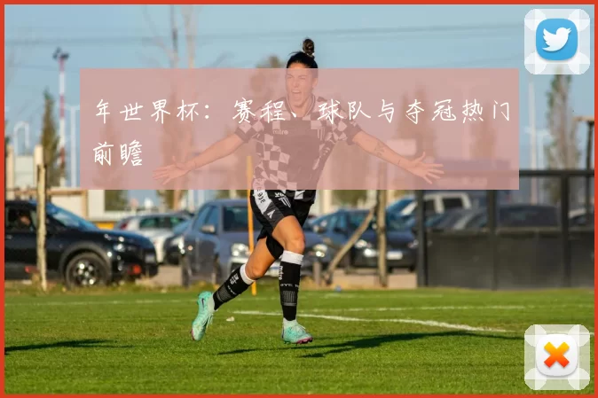 年世界杯：赛程、球队与夺冠热门前瞻