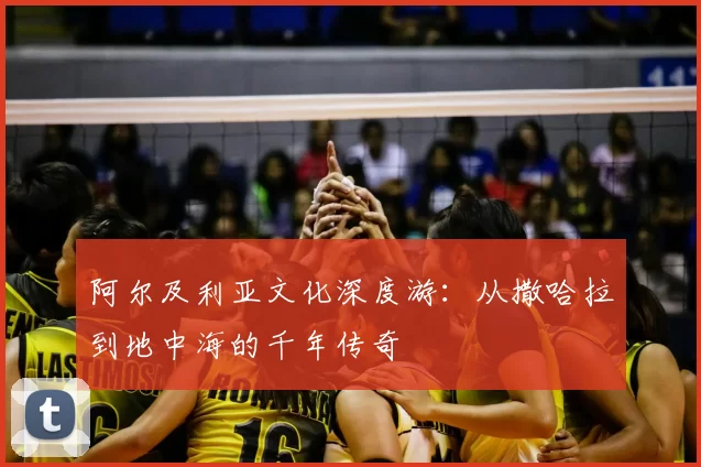 阿尔及利亚文化深度游：从撒哈拉到地中海的千年传奇