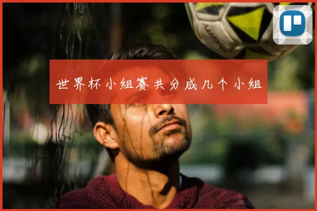 世界杯小组赛共分成几个小组
