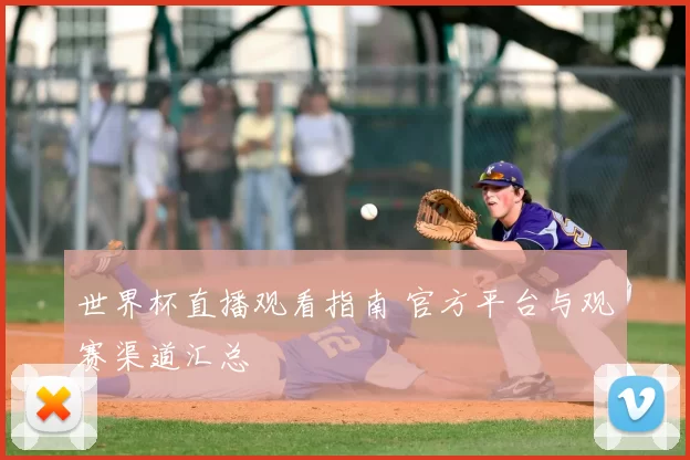 世界杯直播观看指南 官方平台与观赛渠道汇总