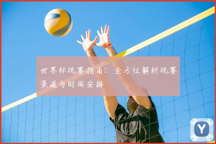 世界杯观赛指南:全方位解析观赛渠道与时间安排