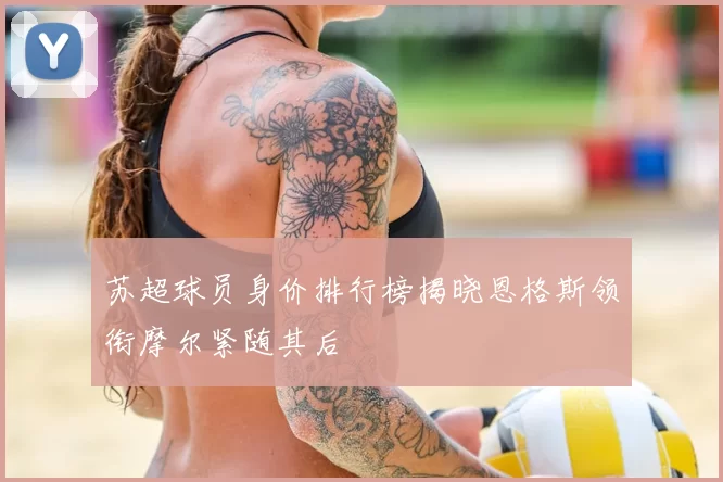 苏超球员身价排行榜揭晓恩格斯领衔摩尔紧随其后