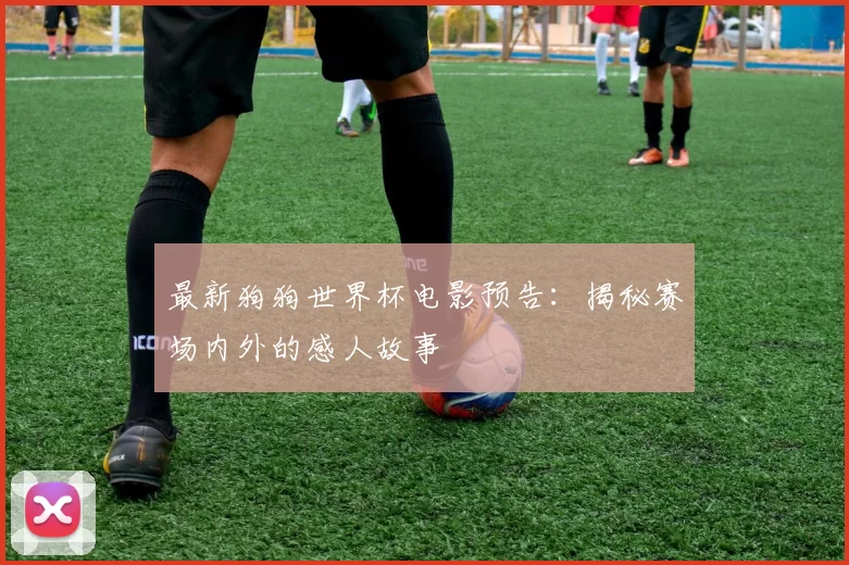 最新狗狗世界杯电影预告：揭秘赛场内外的感人故事