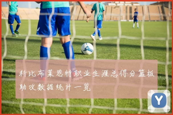 科比布莱恩特职业生涯总得分篮板助攻数据统计一览