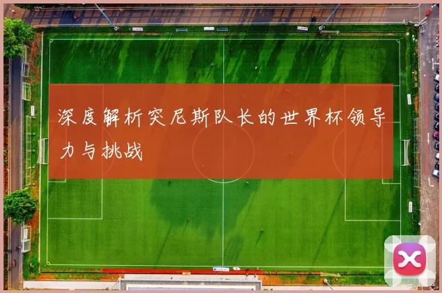 深度解析突尼斯队长的世界杯领导力与挑战