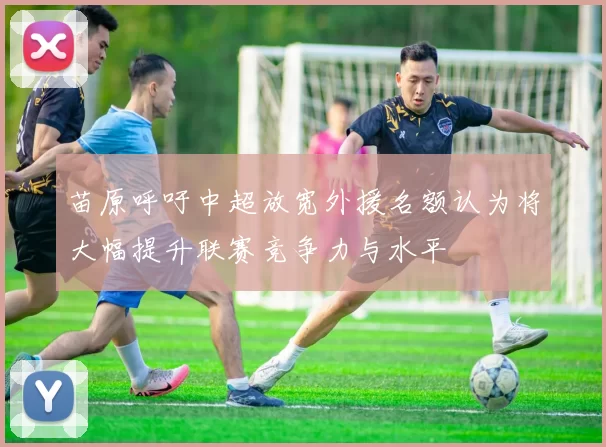 苗原呼吁中超放宽外援名额认为将大幅提升联赛竞争力与水平