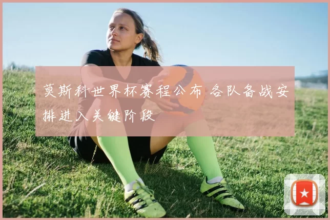 莫斯科世界杯赛程公布 各队备战安排进入关键阶段