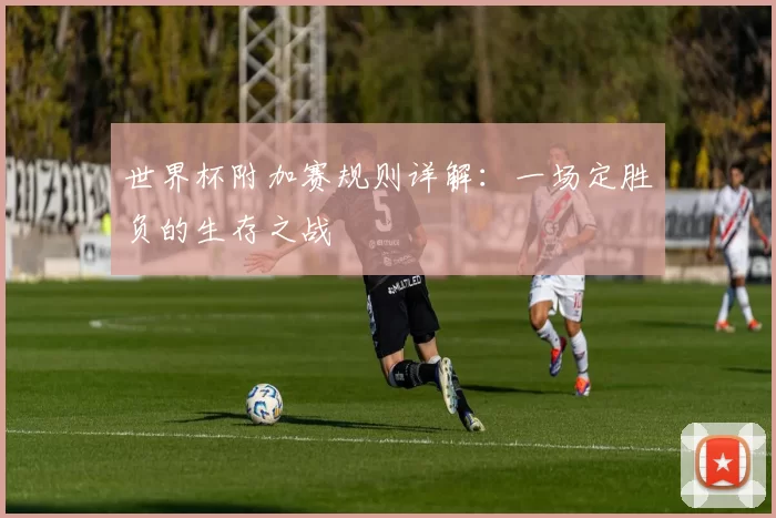 世界杯附加赛规则详解：一场定胜负的生存之战