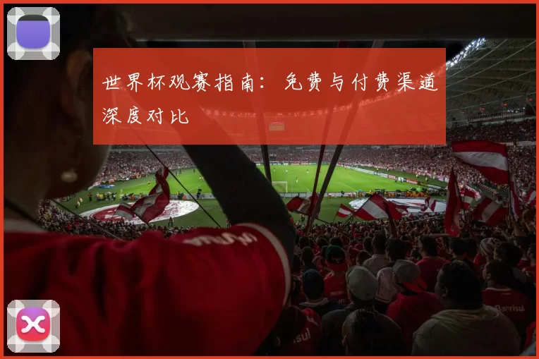 世界杯观赛指南：免费与付费渠道深度对比