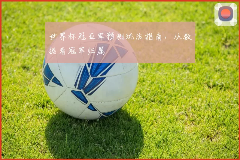 世界杯冠亚军预测玩法指南，从数据看冠军归属
