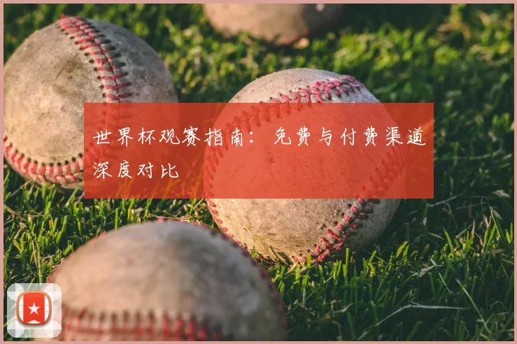 世界杯观赛指南：免费与付费渠道深度对比