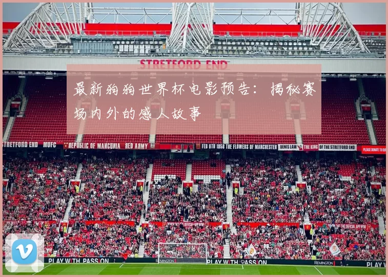 最新狗狗世界杯电影预告：揭秘赛场内外的感人故事