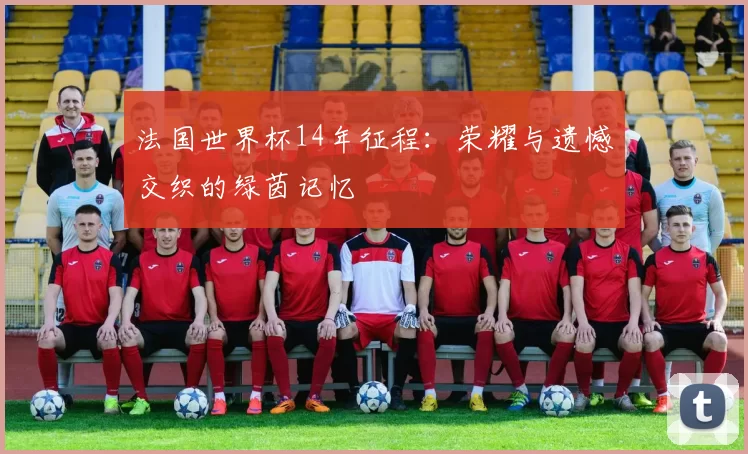 法国世界杯14年征程:荣耀与遗憾交织的绿茵记忆