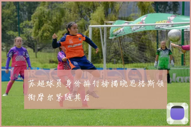 苏超球员身价排行榜揭晓恩格斯领衔摩尔紧随其后